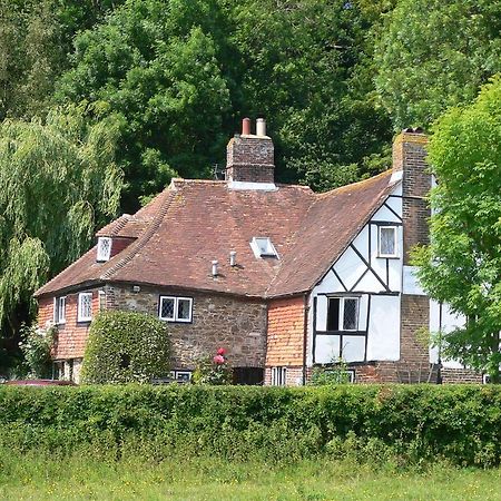 Strand House Winchelsea Extérieur photo