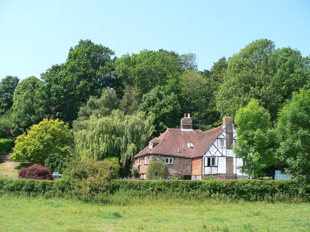 Strand House Winchelsea Extérieur photo