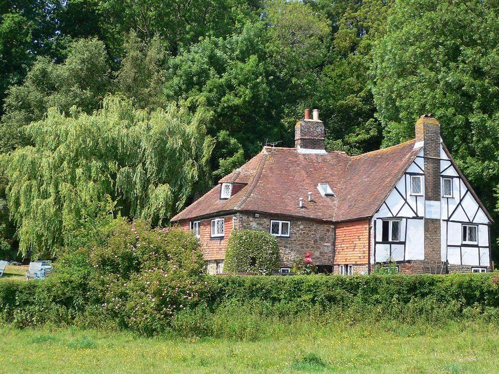 Strand House Winchelsea Extérieur photo